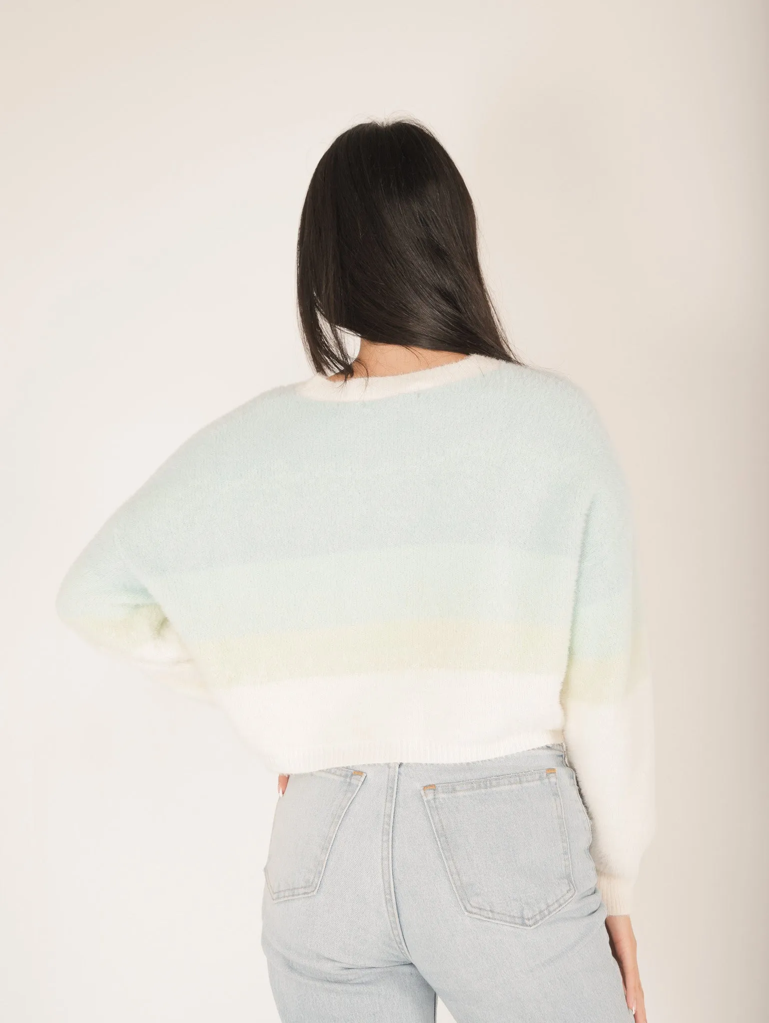 Audi Color Stripe Sweater