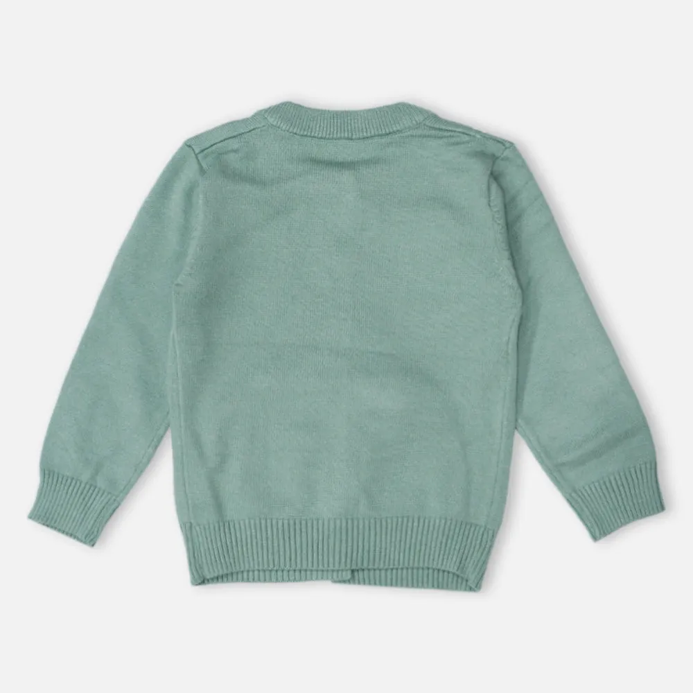 Blue & Green Elephant Theme Full Sleeves Sweater