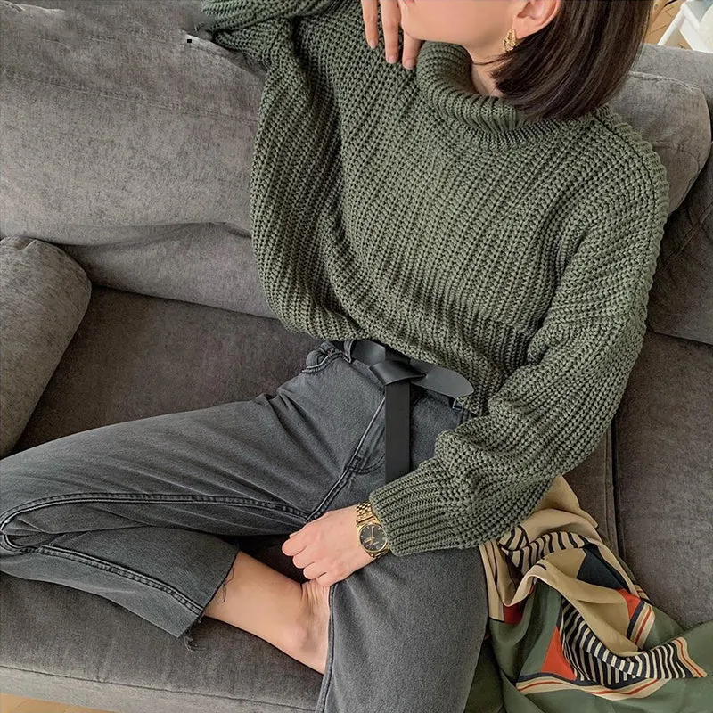 Cornelia Turtleneck Sweater