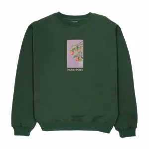 Pass~Port Quandong Sweater (Forest Green)