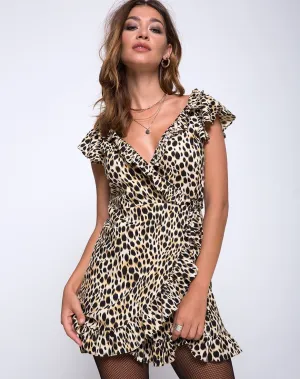 Rica Skater Dress in Cheetah