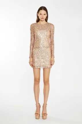 Rose-Gold Sequin Mesh Mini-Dress